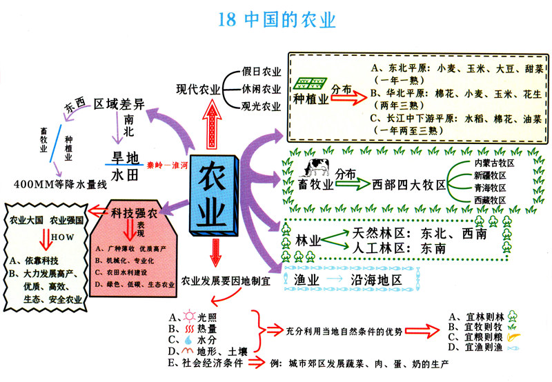 初中地理(1-4册) 思维导图（脉络图） 考点梳理