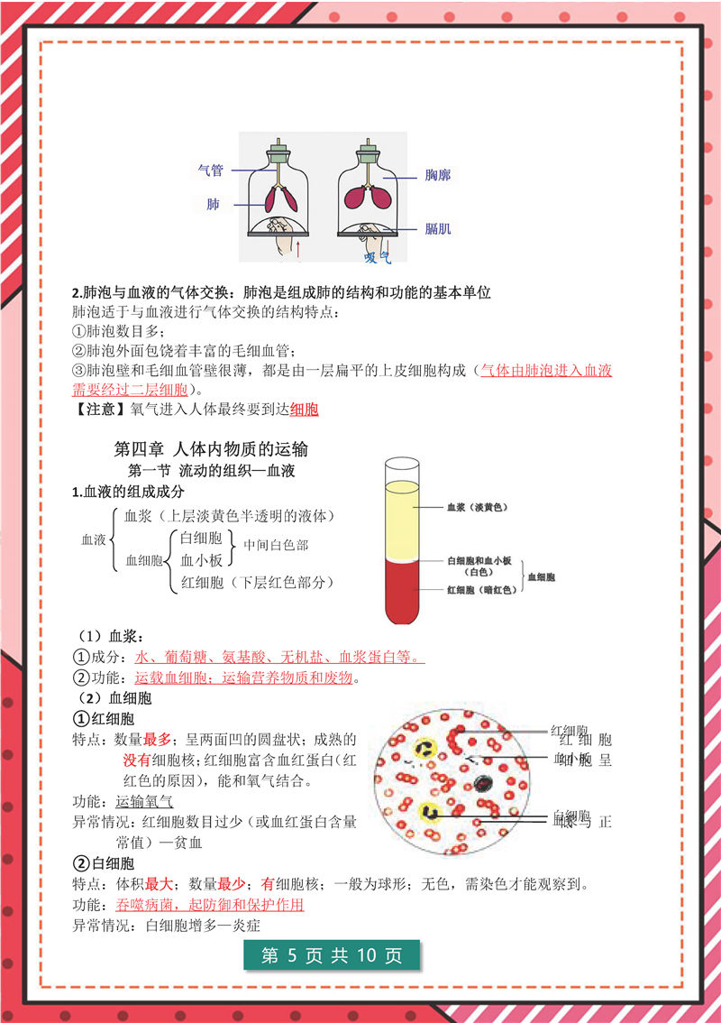 七年级下册 生物 高频考点_页面_05.jpg 地理 生物-答题模板–七年级下册