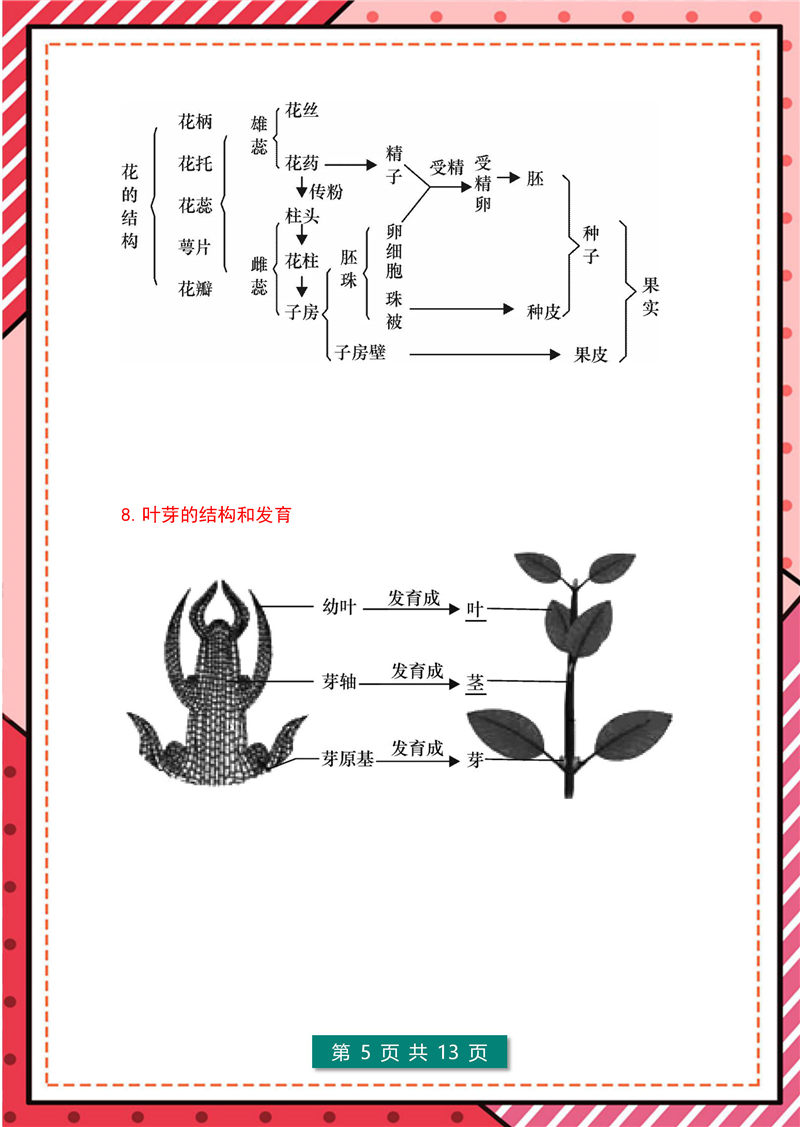 7年级-8年级生物识图题-模板整理(大全版)